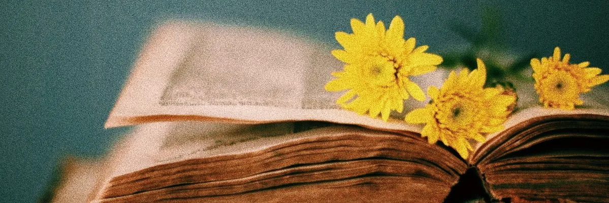 Rabia Şimşek kapak görseli
