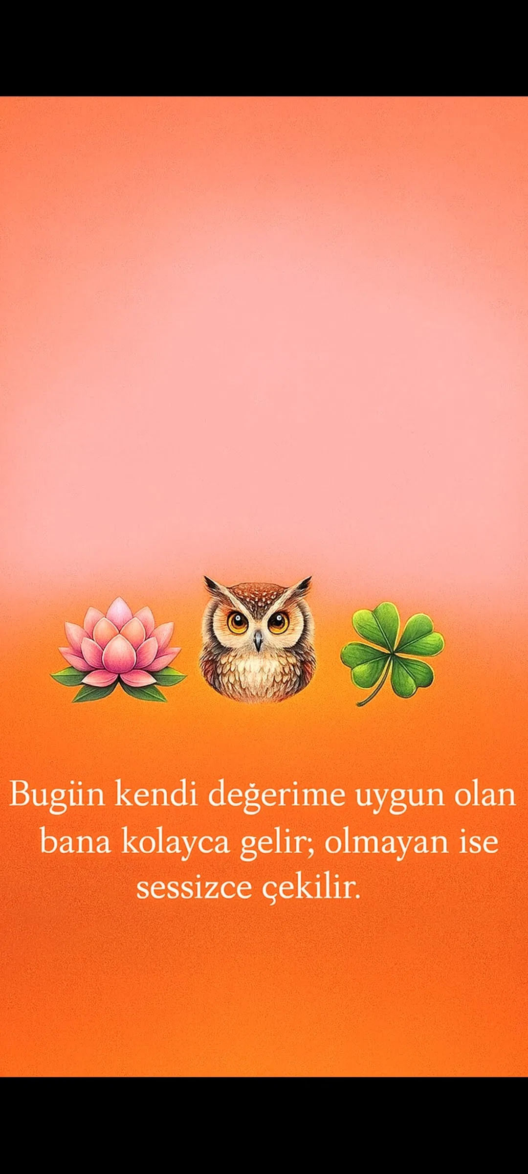 Zehra Kazlı kapak görseli
