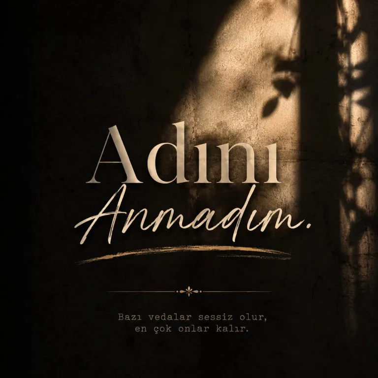 ADINI ANMADIM