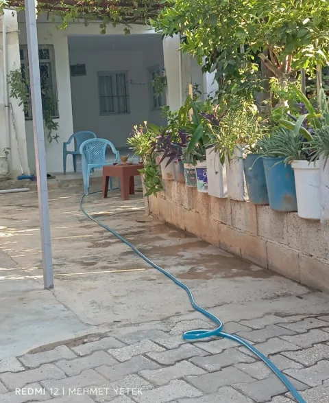 BAHÇEDEKİ SON SOHBET görseli