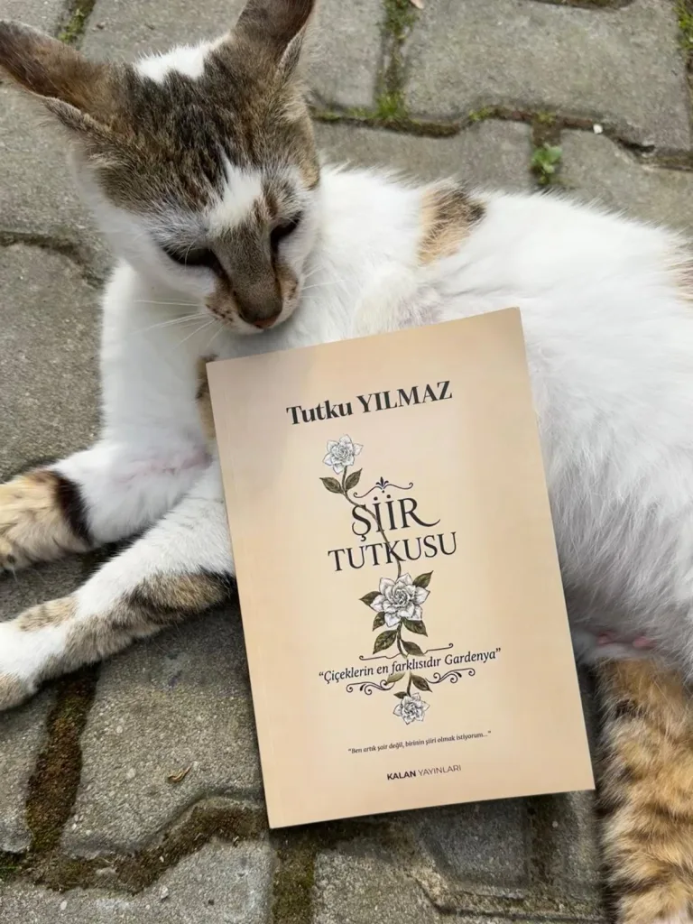 Bir Akşam Yorgunluğu