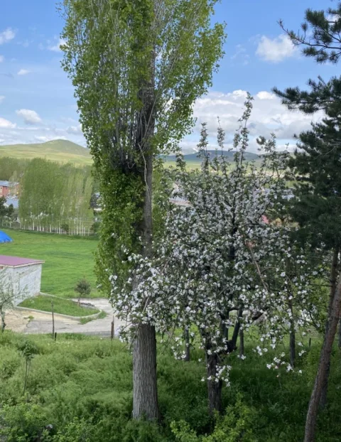 Bir Bayram Sabahı görseli