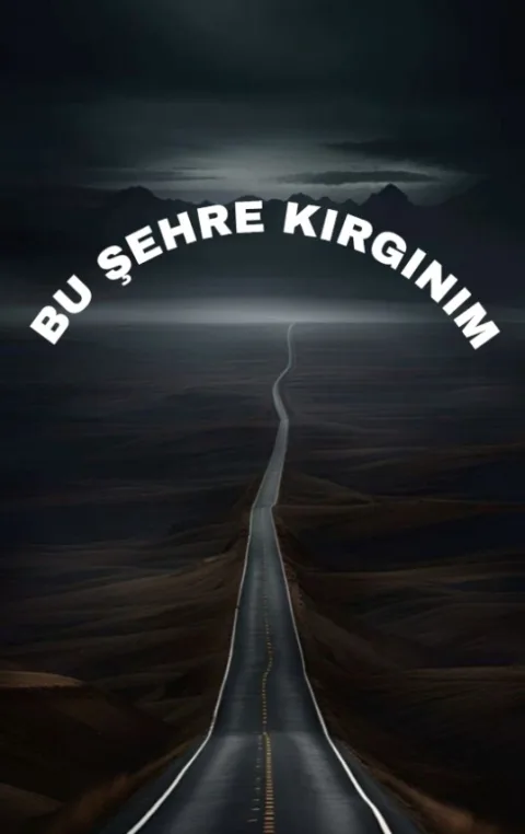 Bu şehre kırgınım görseli