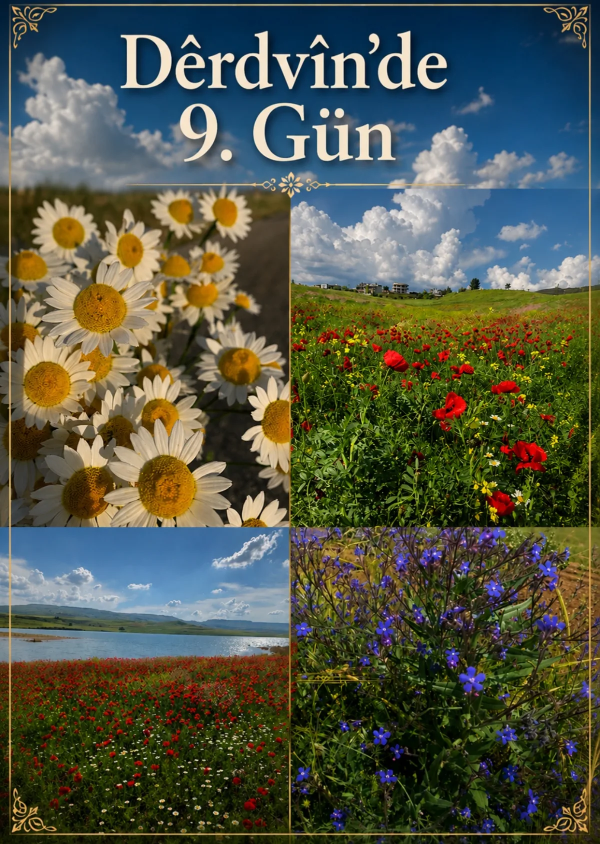 DÊRDVÎN’DE 9. GÜN