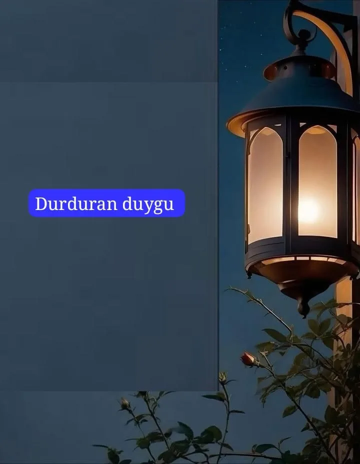 Durduran duygu