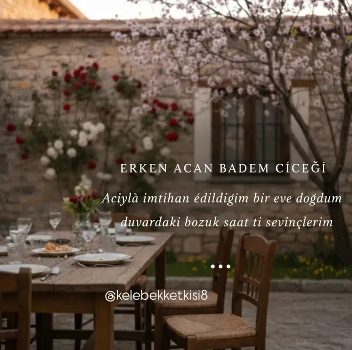 Erken Açan Badem Çiçeği