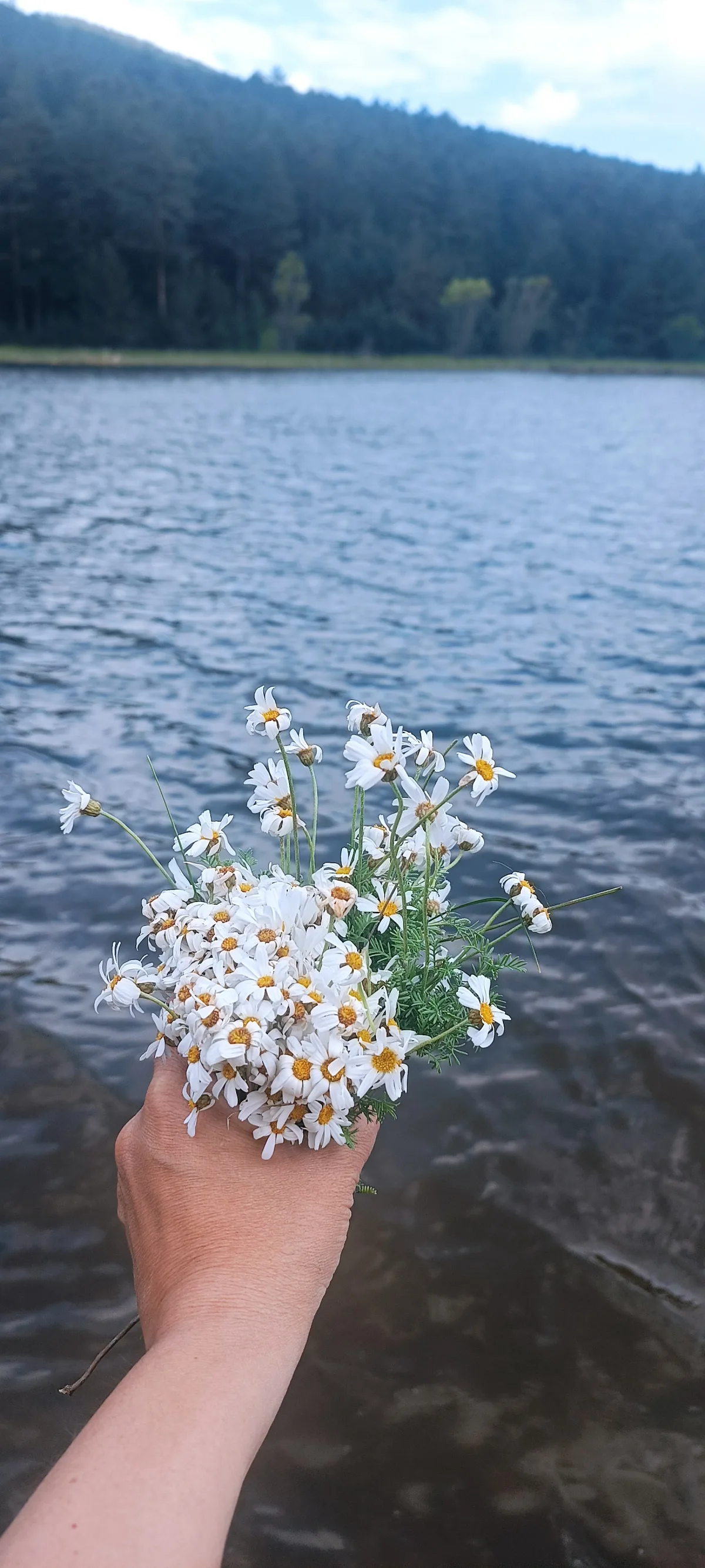 Gittiğinden Beri Kalbimin Çiçekleri Üşüdü