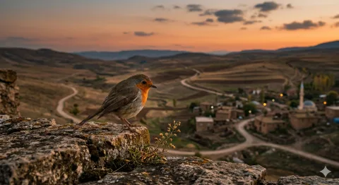 Gurbet Kanadı görseli