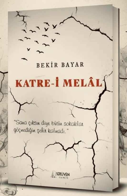 HİÇ Mİ SEVMEDİN?