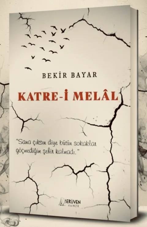HİÇ Mİ SEVMEDİN? görseli