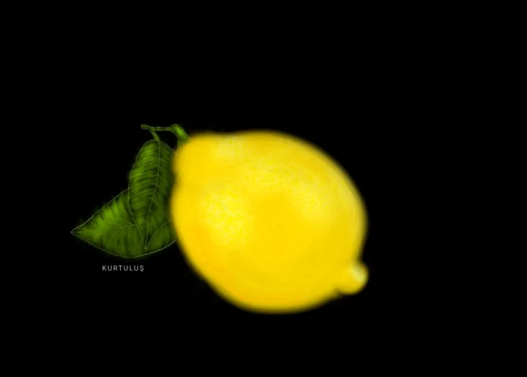 Hiperrealist Sanat - Gerçekçilik ve farklılık - Limon