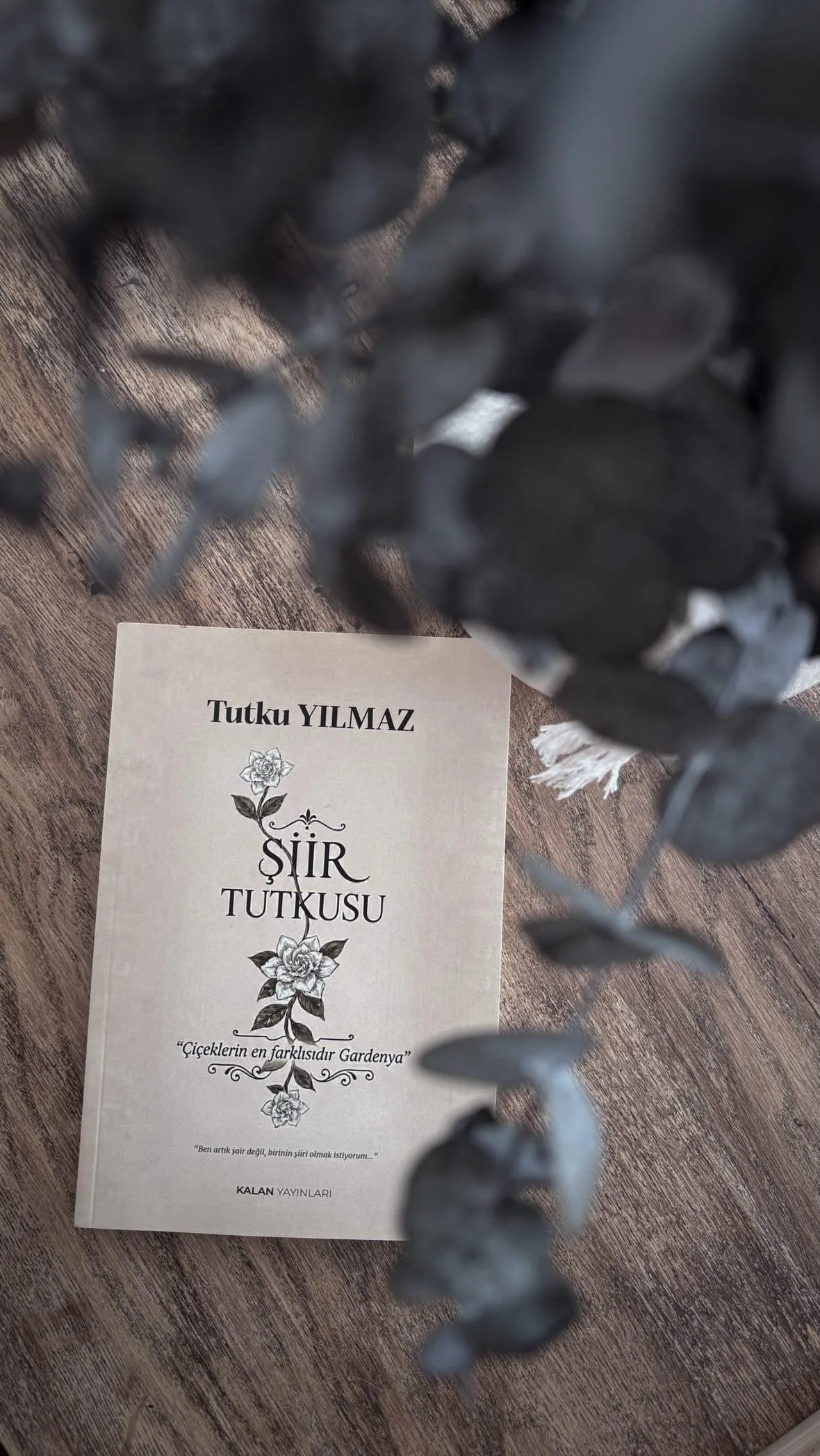 İçimdeki Şiir