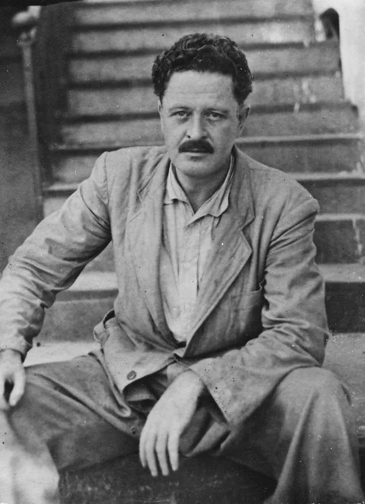 Nâzım Hikmet'i Anarken