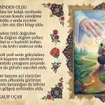 NEFSİNDEN OLDU