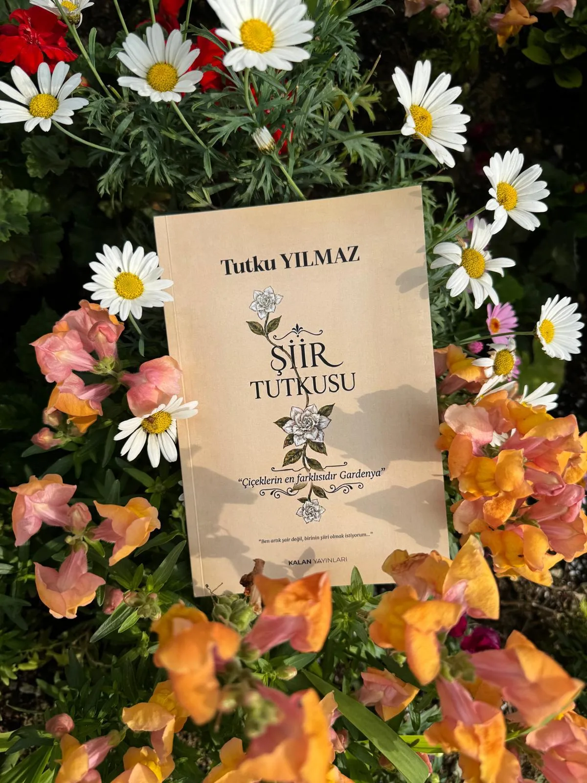 Saksıda Aşk