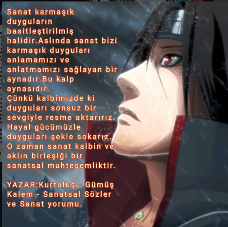 Sanat karmaşıklıkların basitleştirilmiş halidir. Yazar Kurtuluş