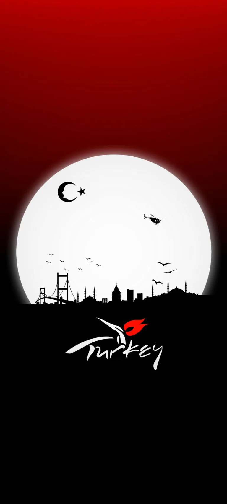 Türk'ün Devleti