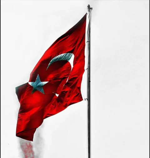 VATAN UĞRUNDA görseli