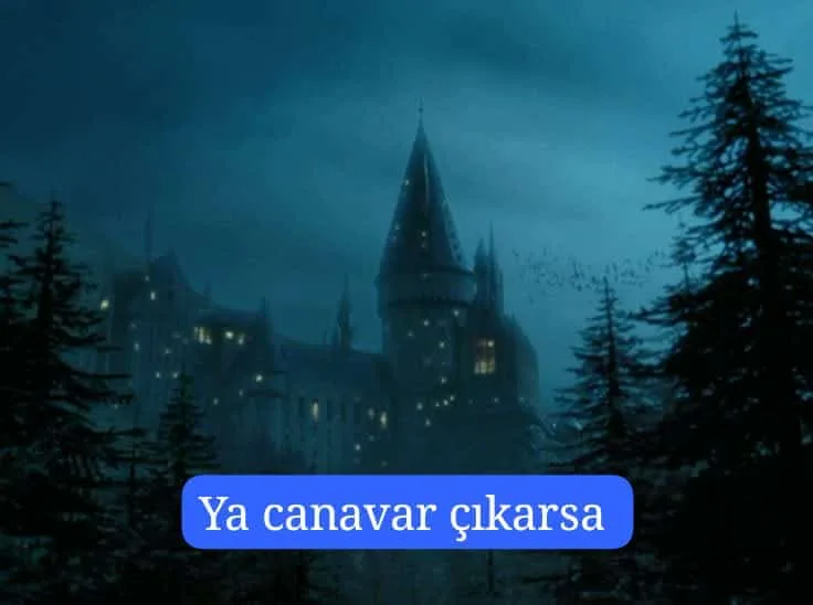 Ya canavar çıkarsa